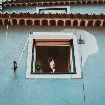 Using long-range Antenna to connect to Public Wi-Fis from a safe distance